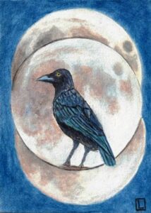 "Three Moon Crow" 6x8 Acrylic on paper